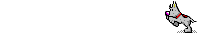 dogrun2
